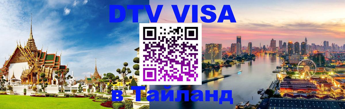 Сколько стоит DTV виза — актуальные цены, оформление даже без документов - Архангельск 